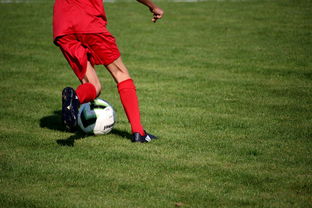 爱游戏互动专区-体育新闻中心发布体育短视频内容运营新策略，体育短视频存在的问题